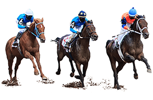 Image showing 3 horses racing.